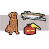 Ikon för hund, båt, samt brandfarlig vätska